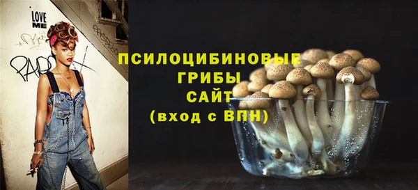 сатива Новодвинск