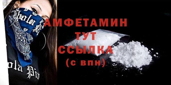 сатива Новодвинск