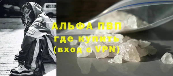 гидра Новозыбков