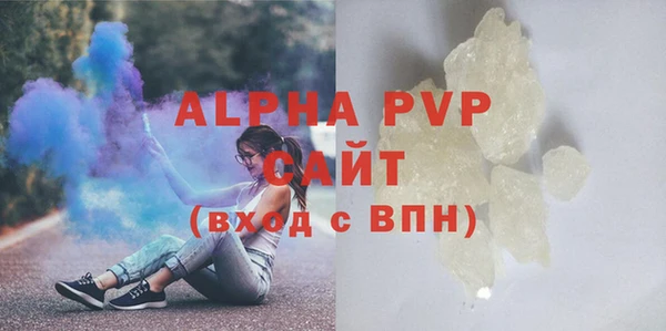 гидра Новозыбков