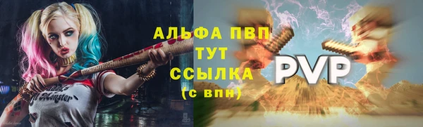 гидра Новозыбков