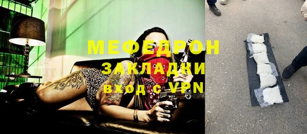 сатива Новодвинск
