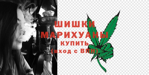 гидра Новозыбков