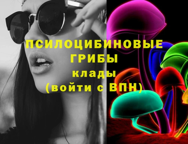 сатива Новодвинск