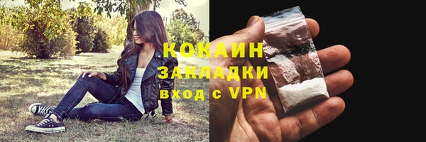 сатива Новодвинск